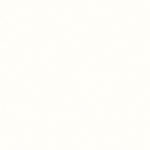 Florence binnenplafond paneel 250x10mm | 0630 - Afbeelding 5