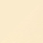 Paneelplusvulling 100x20mm | 0525 - Afbeelding 5