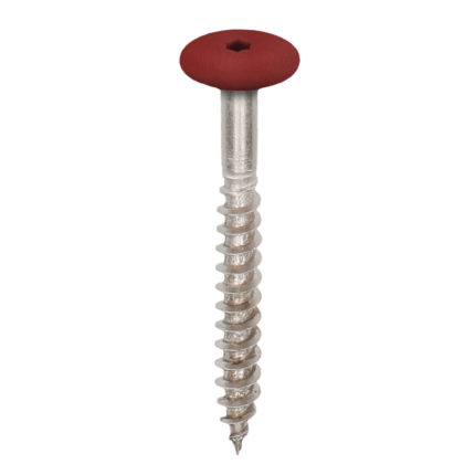 Torx schroef 45mm rvs V4A 100st - Rood